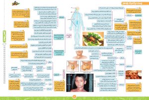 برشی از کتاب زیست یازدهم میگ میگ فاگو