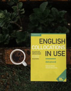 English Collocations in Use Advanced 2nd